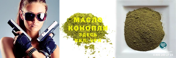 индика Баксан