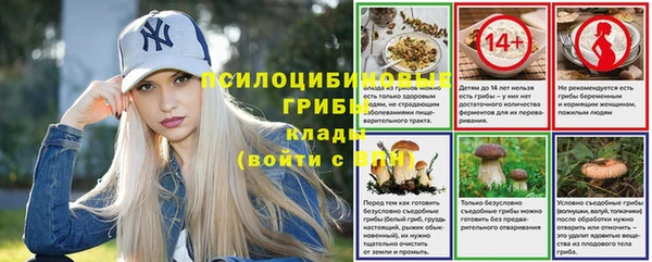 кокаин Белокуриха
