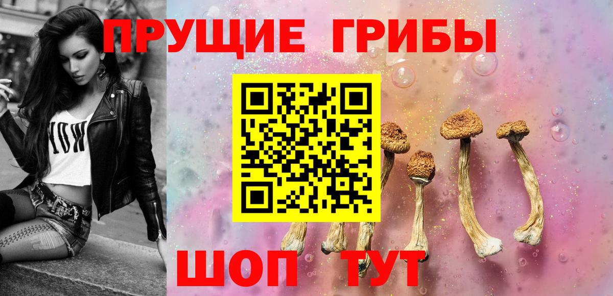Псилоцибиновые грибы Cubensis Гатчина